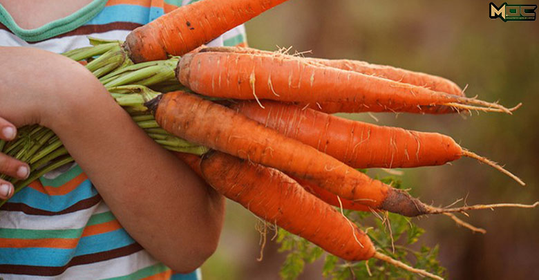 آیا هویج برای چشم ها خوب است؟